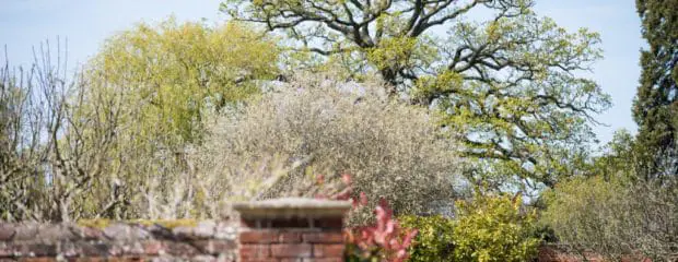 Image of two people chatting on bench in the orchard