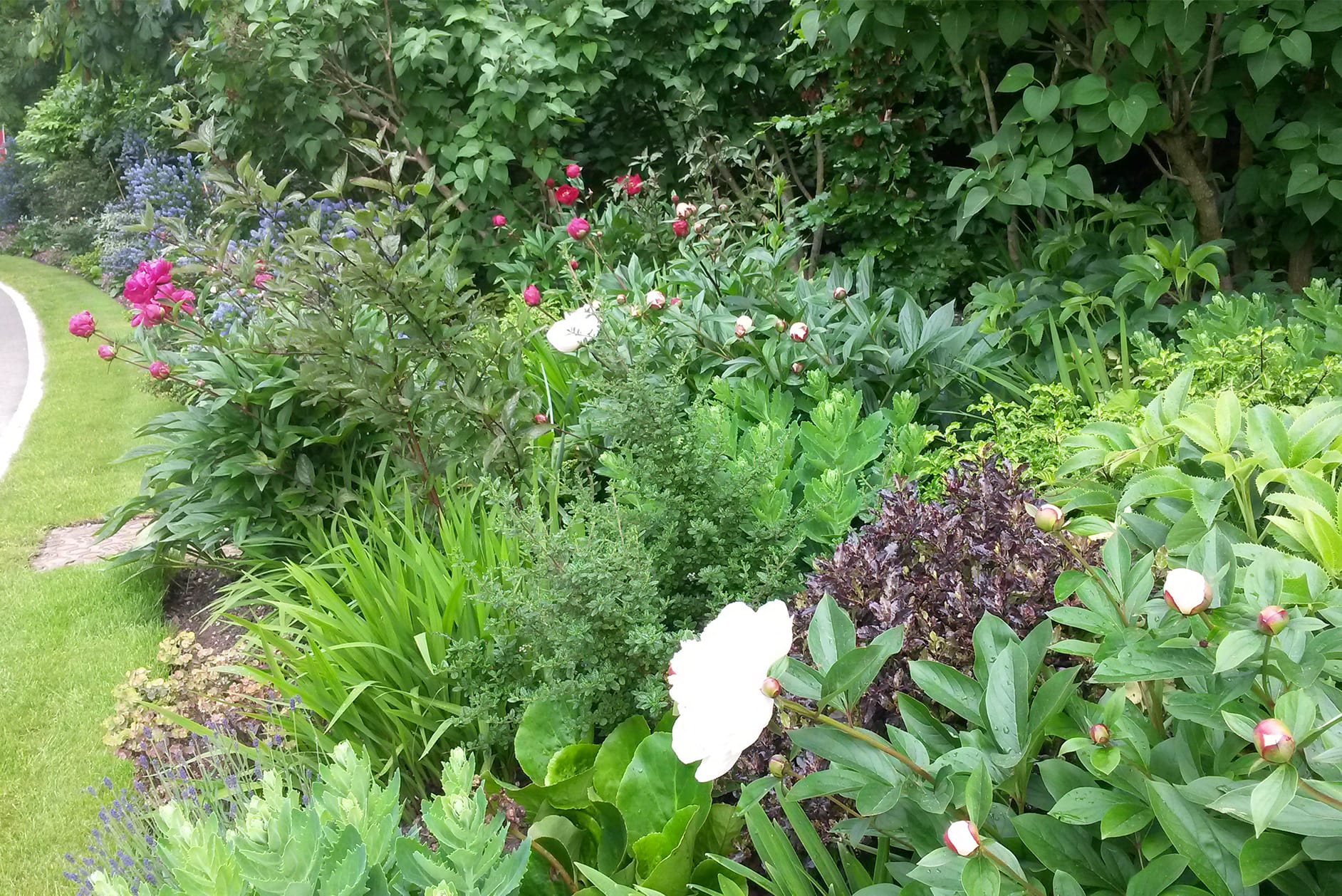 Garden border at the Wellcome Genome Campus