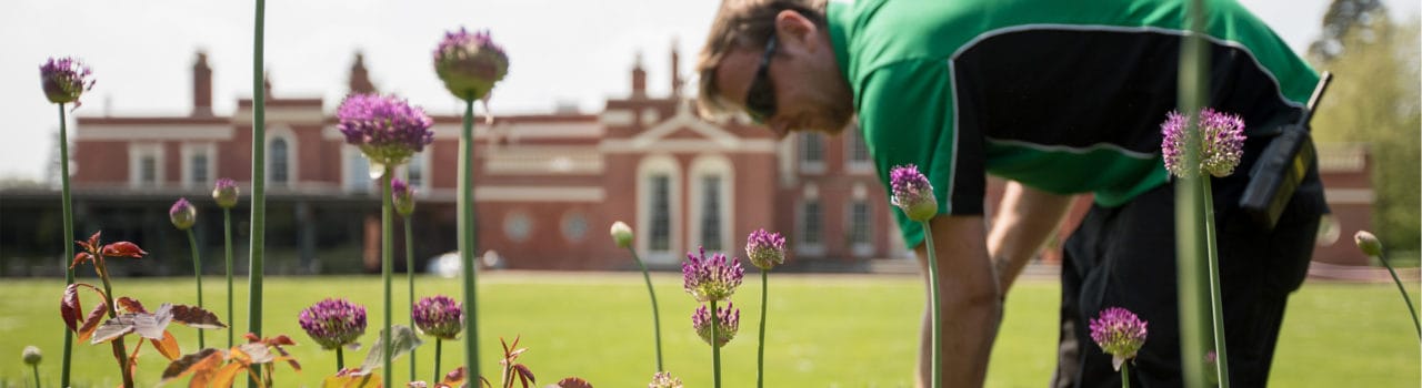 Gardening Hinxton Hall