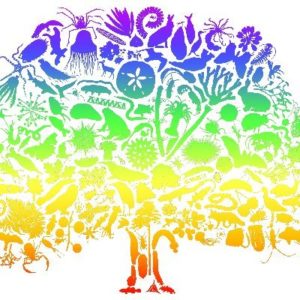 Sanger Institute Tree of Life programme logo