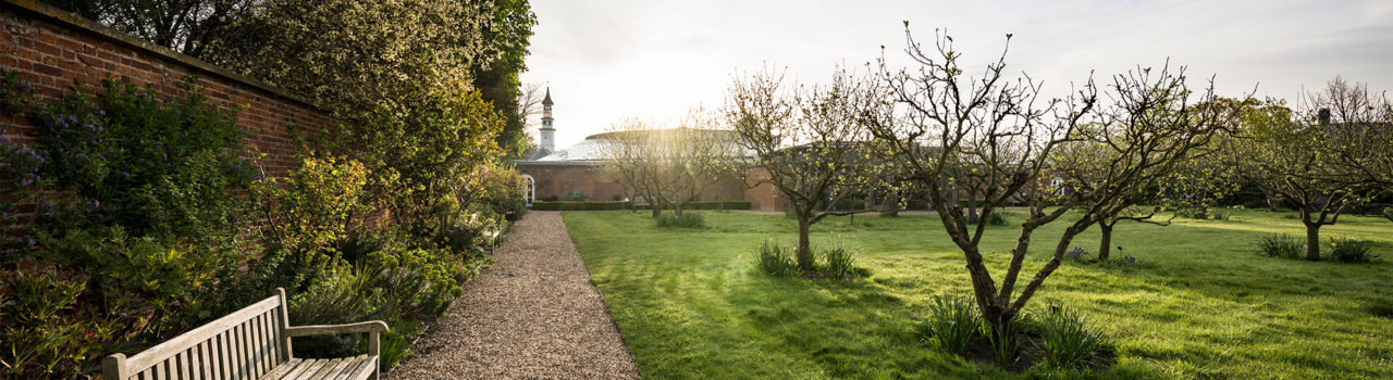 The orchard at Hinxton Hall Conference Centre