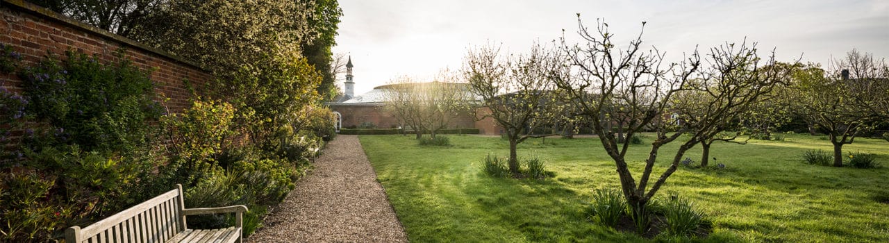 Orchard 1884px The orchard at Hinxton Hall Conference Centre