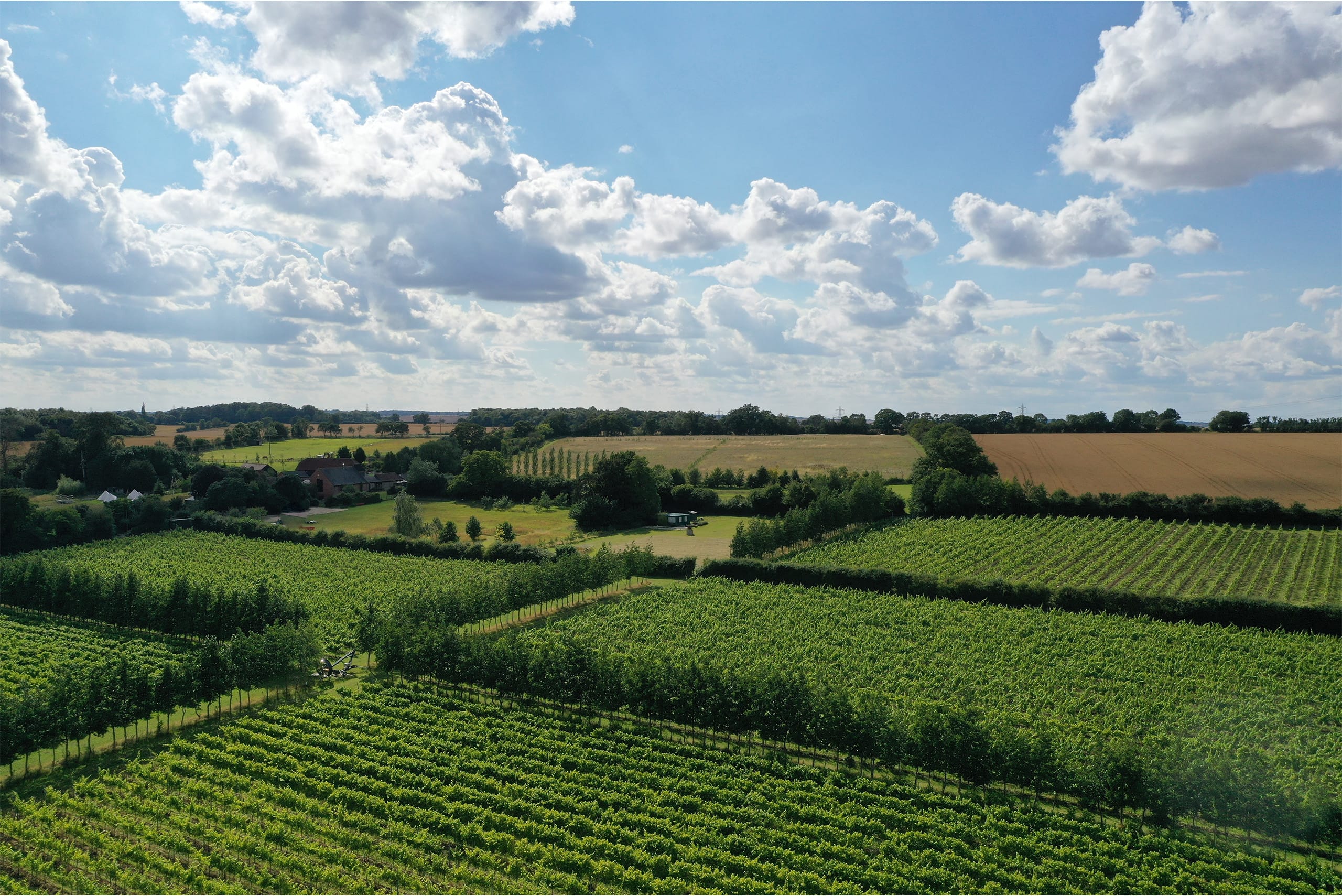 Aerial view of the Saffron Grange vineyard: half a dozen green fields divided by hedges.